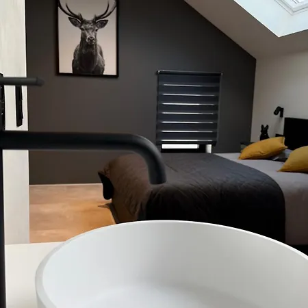 Le Loft Du Coiffeur Lägenhet *