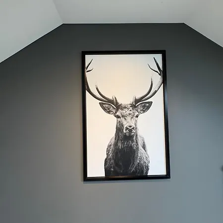 Le Loft Du Coiffeur Διαμέρισμα