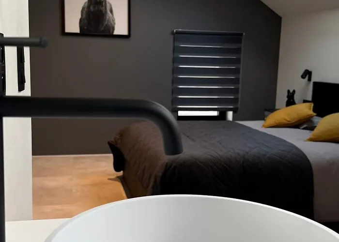 Le Loft Du Coiffeur Apartment *